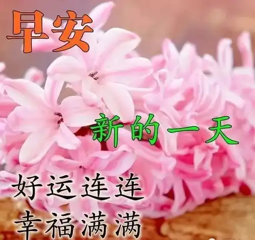 心情
