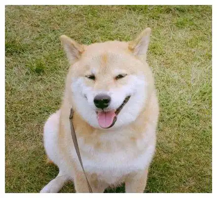 见你一面也好,缓我挂念让我心安
