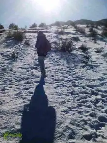 燕羽山穿越果树园山顶1

