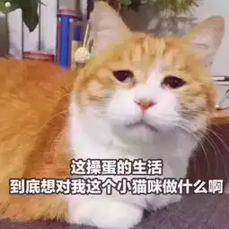再上6天班,南昌人集体放假还有地铁3号线,电警抓拍等一大波消息等着你
