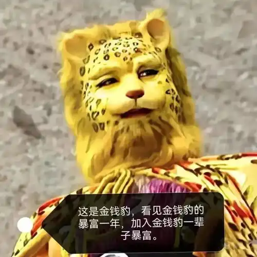 何以解忧,唯有暴富听说换了金钱豹头像就会变有钱

