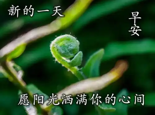 2021年3月12日正月廿九早上好问候祝福动态表情图片
