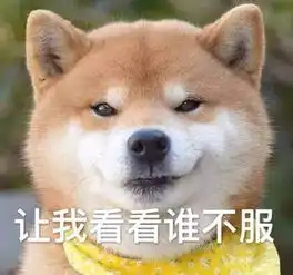苏大平安夜之单身狗与情侣族的世纪面基.avi苏大考研党请围观做准备
