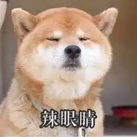 2018网红锅盖头像微信头像图片大全
