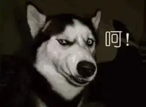 我记着有一个跟这个图差不多的表情包,是一只猫咪,也是受了惊吓很模糊的样子,哪位大佬有呀
