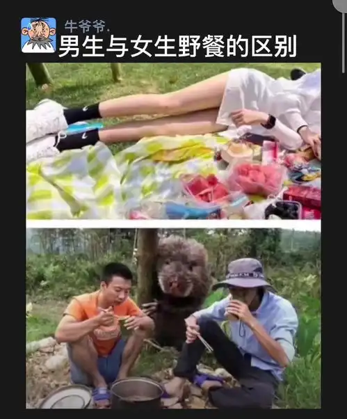 男生与女生野餐的区别
