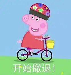 小心错误地粉上这只猪看完这篇就不会了
