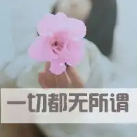 和这张图片相似的女生头像有没有
