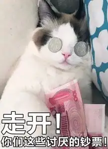 被金钱蒙蔽了双眼猫咪表情包
