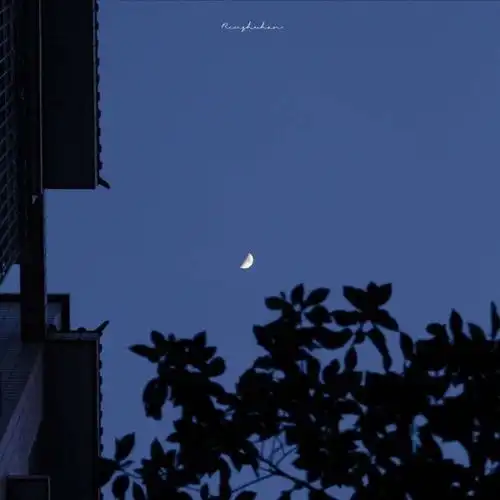 按自己的方式,慢慢来
