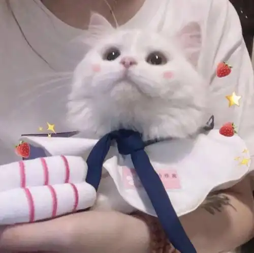 甜蜜情侣头像

