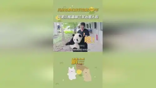 历经沧桑归来仍是阳光开朗大男孩,完美小熊萌兰到底有多治愈人心