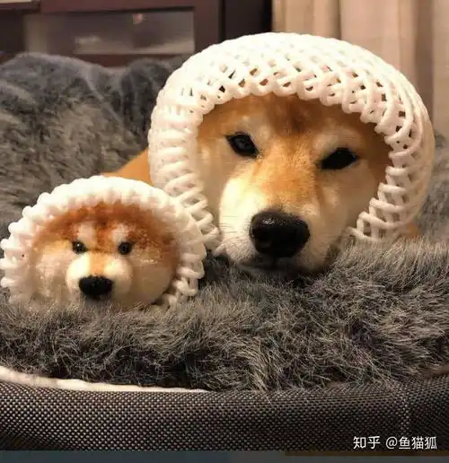 大家有没有好看的黄色系情侣头像我太喜欢黄色头像了
