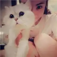 猫咪遛弯微信头像图片大全
