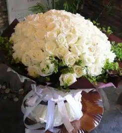精品鲜花花季雨鲜花
