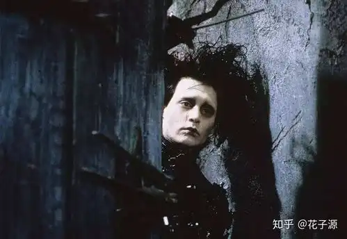 有哪些经典的哥特风格影片或动漫