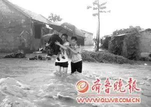 大雨致山亭城头镇多处被淹