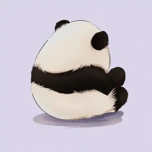 可爱熊猫头像壁纸

