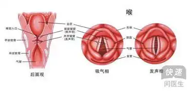慢性扁桃体炎长期口臭是什么原因
