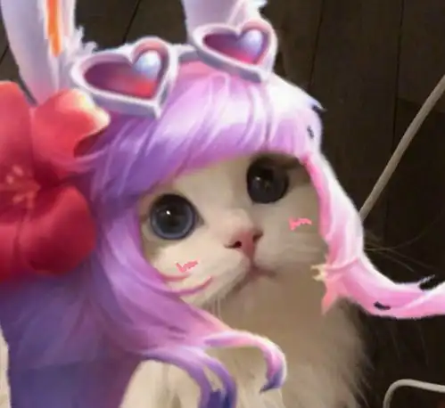 王者荣耀猫咪公孙离头像大全王者荣耀猫咪公孙离头像汇总星芒手游网
