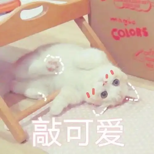 一个互联网小白如何通过自媒体成功创业
