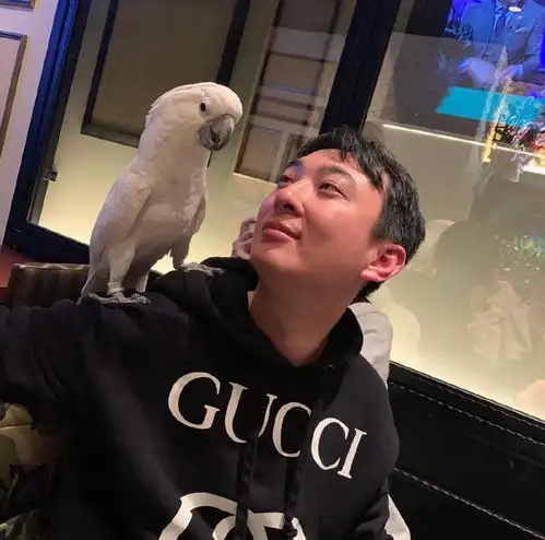 王思聪开撕网红翻车女方晒骚扰记录,王思聪回应暴露细节内情
