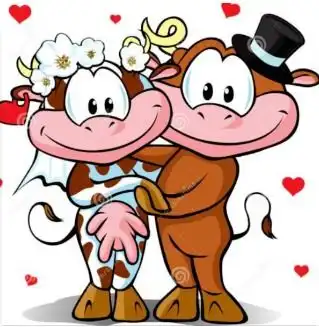草原上有两头牛,公牛对母牛说iloveyou,母牛对公牛说这个歌名叫什么