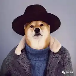 世界上最会穿衣服的柴犬,教你变时尚
