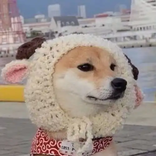 闺蜜头像一个像夏天一个像秋天
