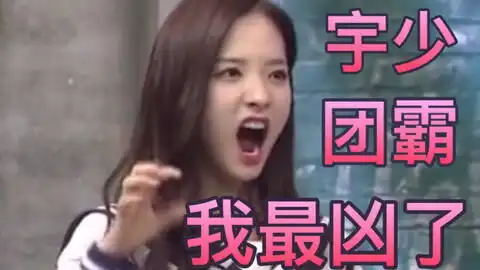 宇宙少女沙雕表情包第二弹
