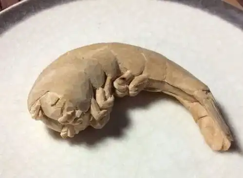 那些让人愿意花钱买的高仿
