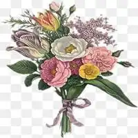 素描捧花微信头像图片大全
