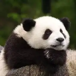 听说褪黑素可以助眠但是吃多了会不孕不育
