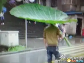 欢迎来看每日搞笑图各位看官托好下巴敬请欣赏
