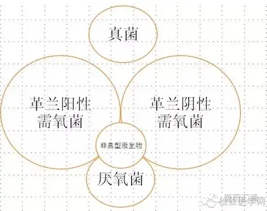 这是全宇宙最简单明了的抗生素图解
