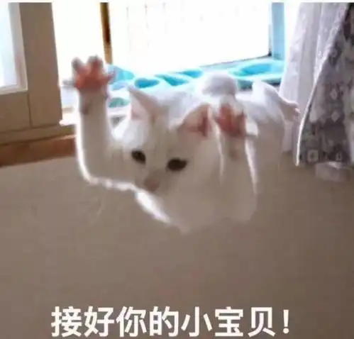 教你这简单几招,把小户型越住越大
