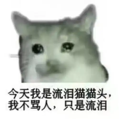 斗图小表情9.3
