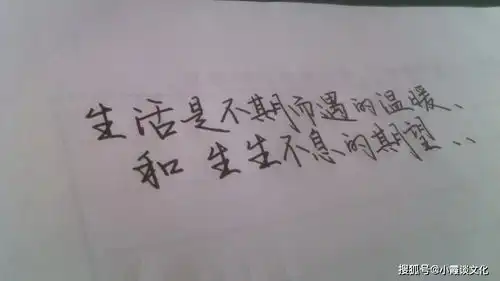 森系清新唯美的句子,简短走心,让人心情明朗许多
