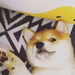 一批超个性好看的微信头像
