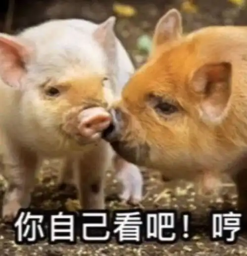 吃螺蛳粉后亲妈差点报警真实...
