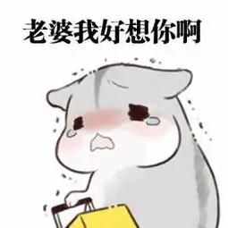 情侣聊天最实用小仓鼠表情包
