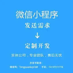 专业teamone小程序创业平台定制开发
