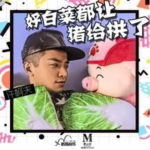 好白菜都让猪给拱了
