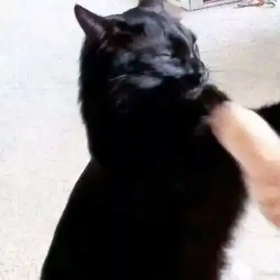 一波不正经的情侣头像
