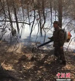 黑龙江佳木斯发生森林火灾火情已得到控制
