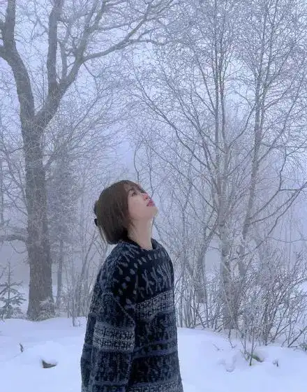 为什么北京一下雪,刘诗诗就上热搜
