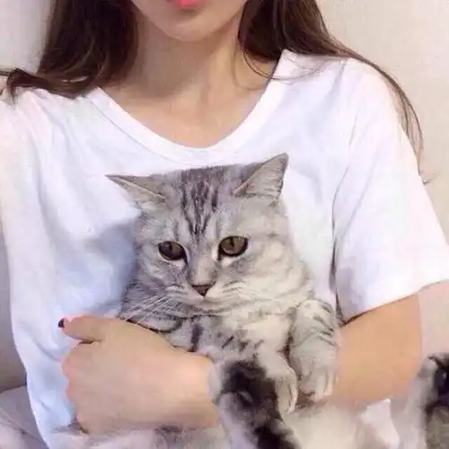 它怎么突然像变了只猫
