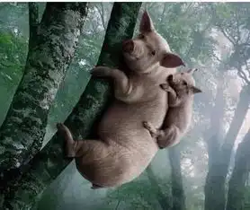 马路上发现一个蛇精病妹子
