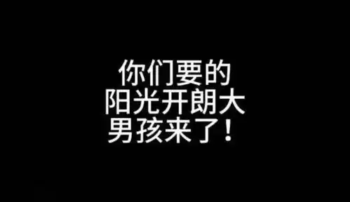 你们要的阳光开朗大男孩来了沙雕动画江苏十三太保
