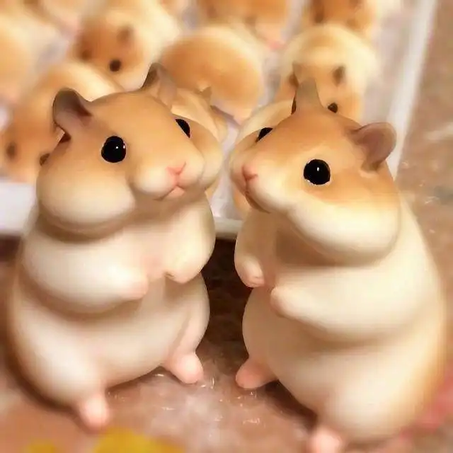 搞笑gif图片笑话段子你找男朋友有啥条件呀
